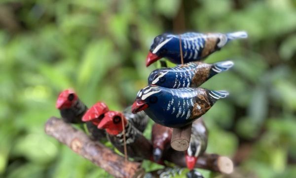 Hanging Birds