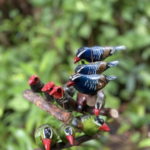 Hanging Birds